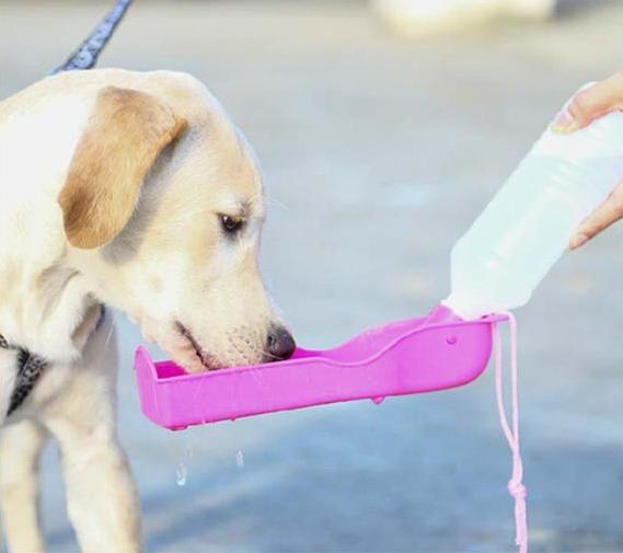 Dog Outdoor Drinking Water Bottle