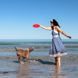 Frisbee Outdoor Training Toy for Dogs
