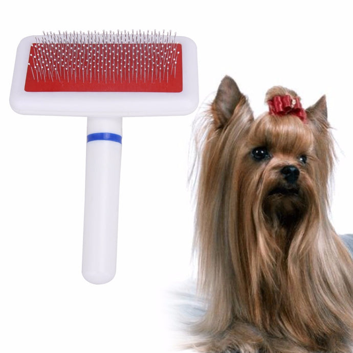 Dog Massage Brush